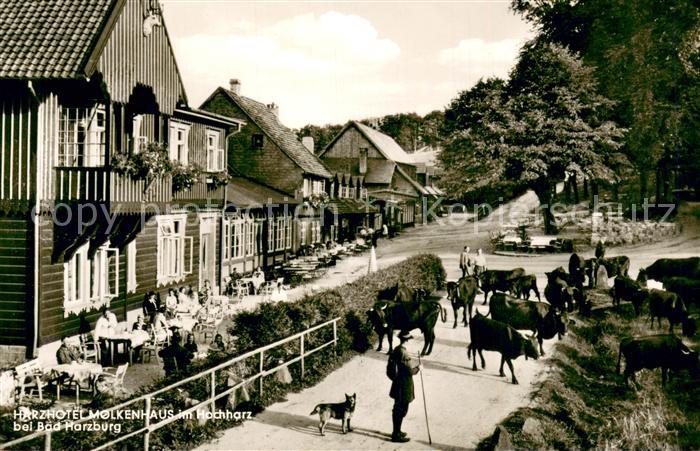Bad Harzburg Harzhotel Molkenhaus