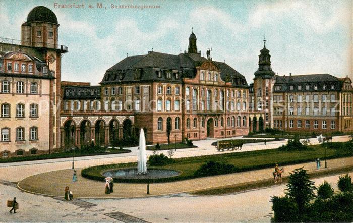 Frankfurt Main Senkenbergianum