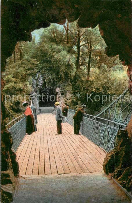 Frankfurt Main Palmengarten Haengebruecke