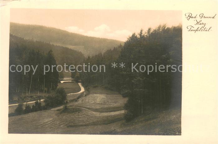 Bad Grund Moor und Fichtelnadelbad