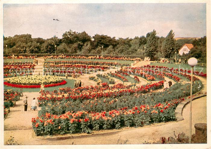 Essen Ruhr Dahlien Arena im Gruga Park