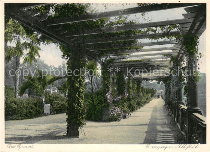 Bad Pyrmont Rosengang am Schlossteich