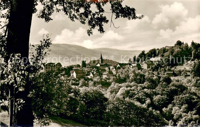 Lindenfels Odenwald Panorama