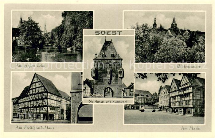 Soest DE NRW Am grossen Teich Bluetenzauber Osthofentor Am Freiligrath Haus Am M