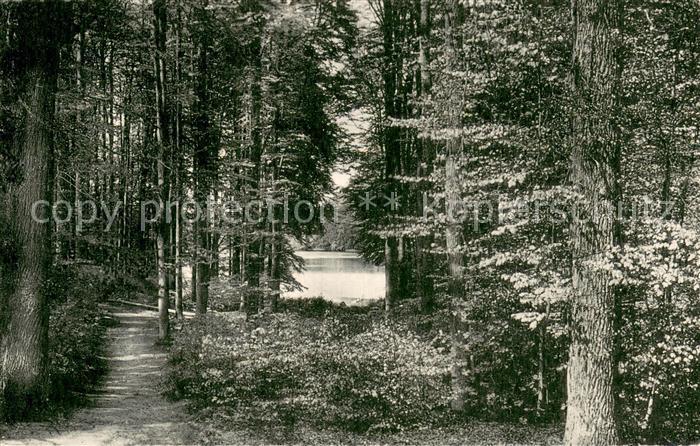 Ukleisee Holsteinische Schweiz