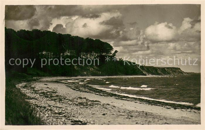 Oldenburg Holstein Der Eiz