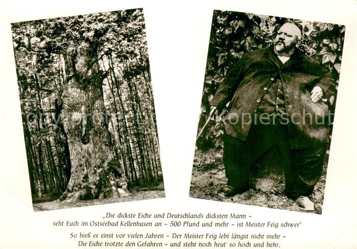 Kellenhusen Ostseebad Dickste Eiche Meister Feig Deutschlands dickster Mann