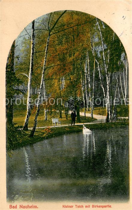 Bad Nauheim Kleiner Teich Schwaene Birken