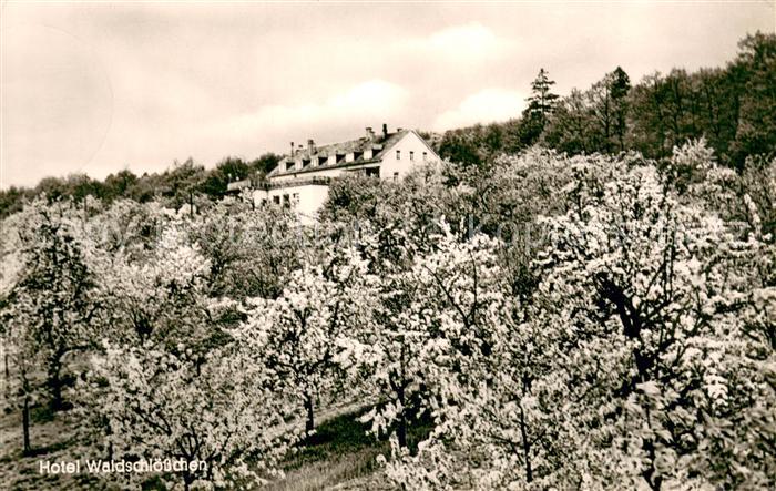Ober-Rosbach Hotel Waldschloesschen Obstgarten Baumbluete