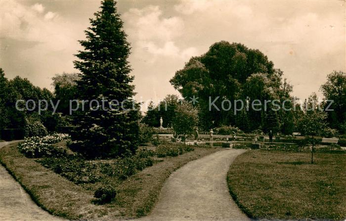 Zweibruecken Pfalz Rosengarten