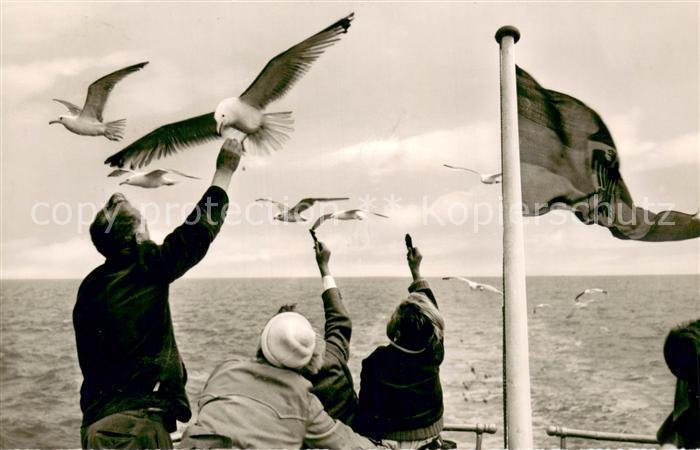 Wangerooge Nordseebad Moewenfuetterung waehrend der ueberfahrt