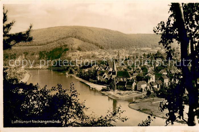 Neckargemuend Panorama Luftkurort