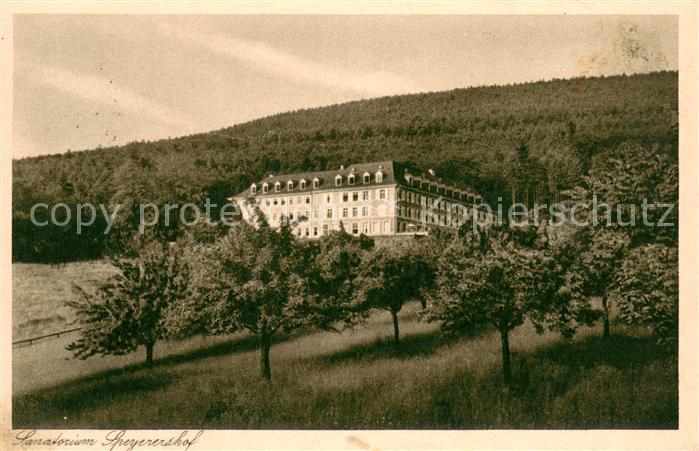 Heidelberg Neckar Sanatorium Speyerershof