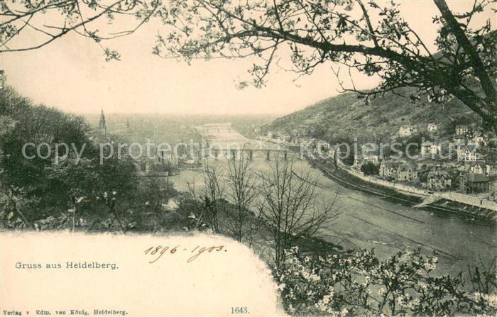 Heidelberg Neckar Panorama Blick ins Neckartal