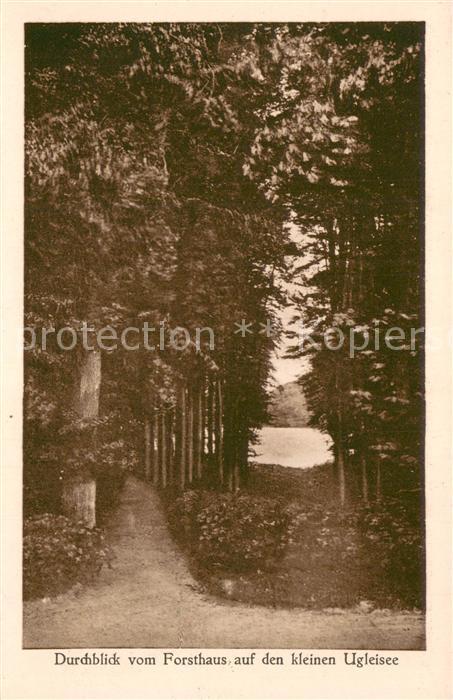 Sielbeck Holsteinische Schweiz Durchblick vom Forsthaus auf den kleinen Ugleisee