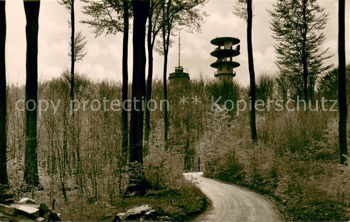 Schoenwalde Bungsberg Waldrestaurant Bungsberg Aussichtsturm