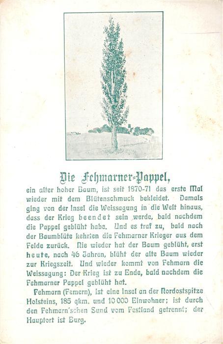 Burg Fehmarn Fehmarner Pappel