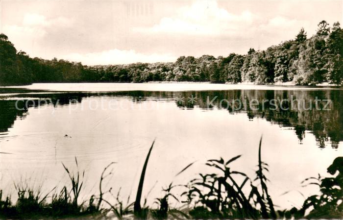 Varel Jadebusen Uferpartie am Muehlenteich