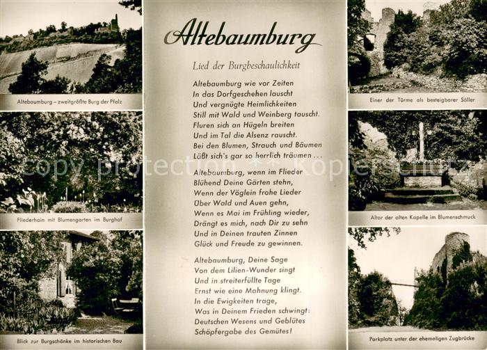 Alsenz Burgruine Altebaumburg Lied der Burgbeschaulichkeit
