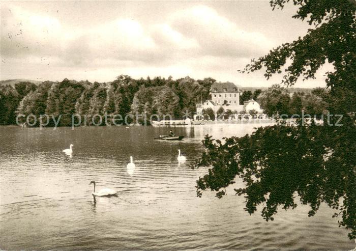 Bad Nauheim Teichhaus Schwaene