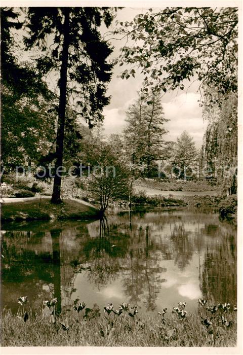 Bad Nauheim Partie im Kurpark zwischen den Teichen