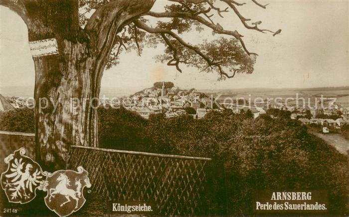 Arnsberg Westfalen Koenigseiche
