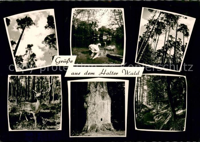 Schloss Holte-Stukenbrock Holter Wald