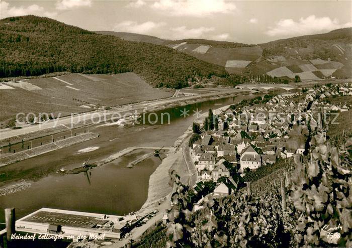 Zeltingen Mosel Weindorf an der Mosel