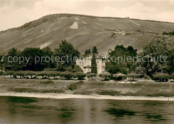 Traben-Trarbach Weingut Huesgen