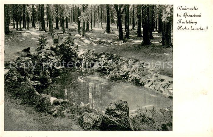 Groenebach Ruhrquelle