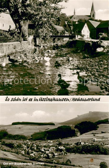 Assinghausen Enten im Dorfbach Panorama mit Bruchhauser Steinen