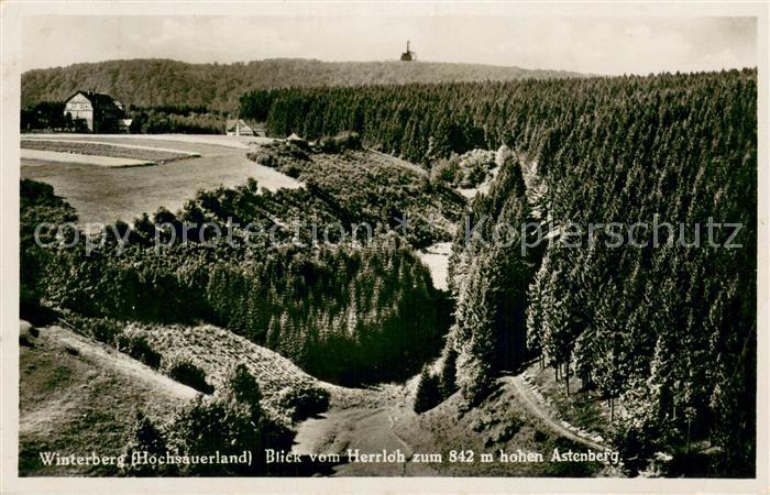 Winterberg Hochsauerland Blick vom Herrloh zum hohen Astenberg