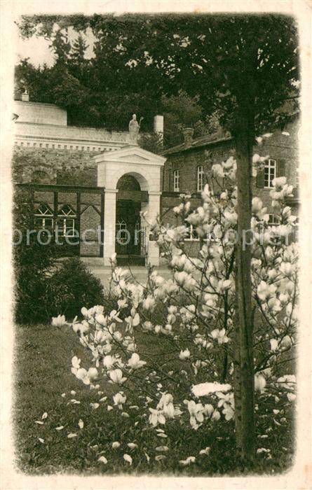 Bad Neuenahr-Ahrweiler Eingang zur Apollinarisquelle