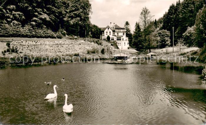 Rengsdorf Obere Muehle Schwanenteich