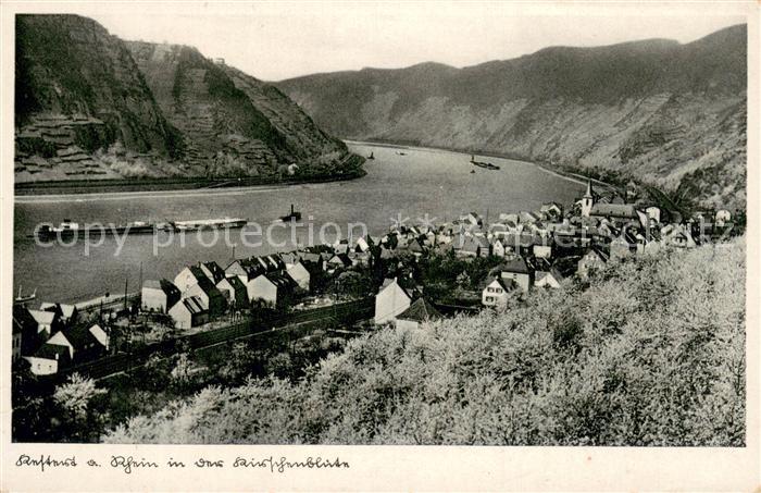 Kestert Rhein Partie am Rhein in der Kirschenbluete