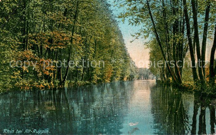 Altruppin Partie am Rhin