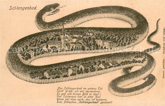 Schlangenbad Taunus Schlange mit Stadtansicht Gedicht Kuenstlerkarte