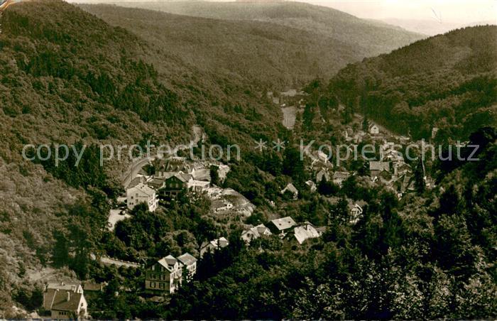 Schlangenbad Taunus Panorama Blick ins Tal