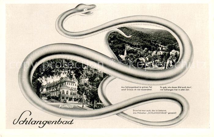 Schlangenbad Taunus Kurhaus Fliegeraufnahme Schlange