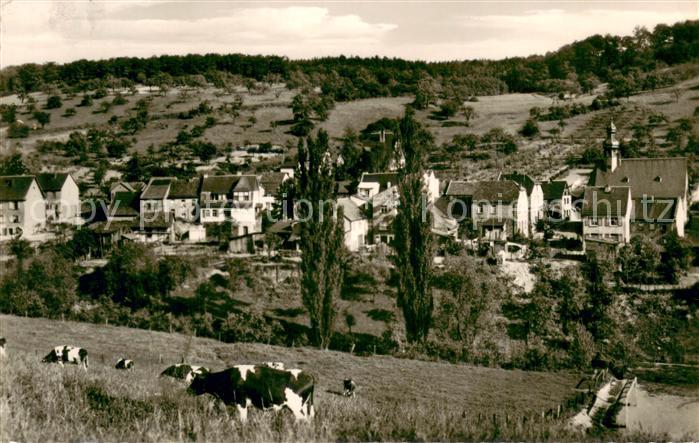 Aulhausen Teilansicht Weindorf mit Kirche Viehweide Kuehe