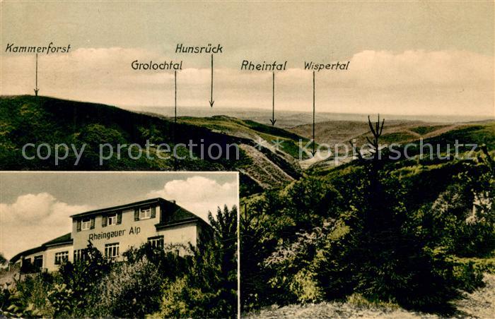 Lorch Rheingau Gasthaus Pension Rheingauer Alp Presberg Landschaftspanorama Rhei