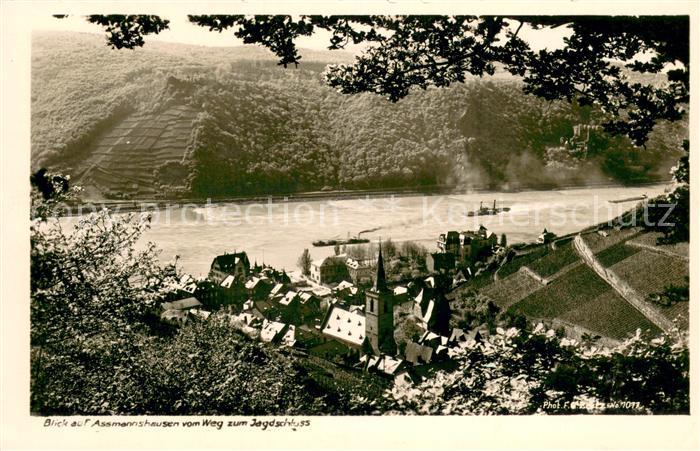 Assmannshausen Blick vom Weg zum Jagdschloss aus