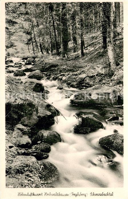 Hochwaldhausen Ilbeshausen Schwarzbachtal Waldpartie