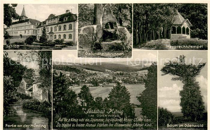 Bad Koenig Odenwald Schloss Gesundheitsbrunnen Wybrechtstempel Muemling Baum Pan