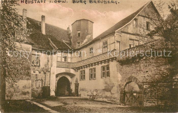Neustadt Odenwald Burg Breuberg aeusserer Schlosshof