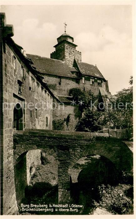 Neustadt Odenwald Burg Breuberg Brueckenuebergang und obere Burg