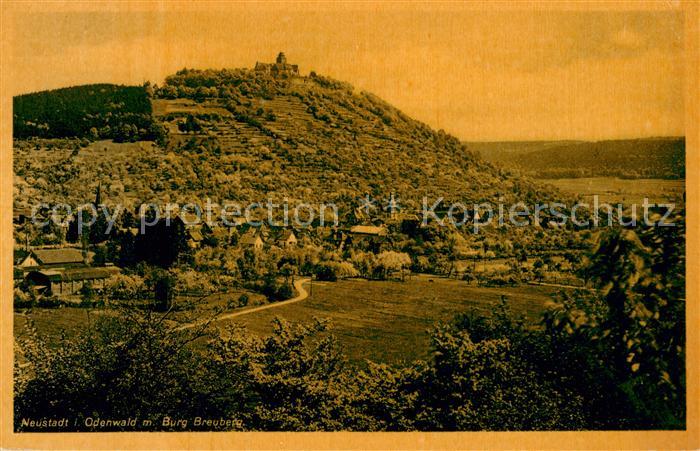 Neustadt Odenwald Panorama Blick zur Burg Breuberg