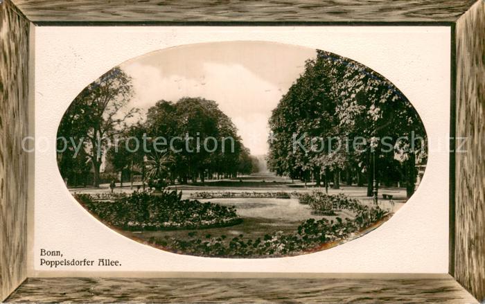Bonn Rhein Poppelsdorfer Allee Bilderrahmen