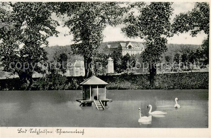 Bad Salzhausen Schwanenteich