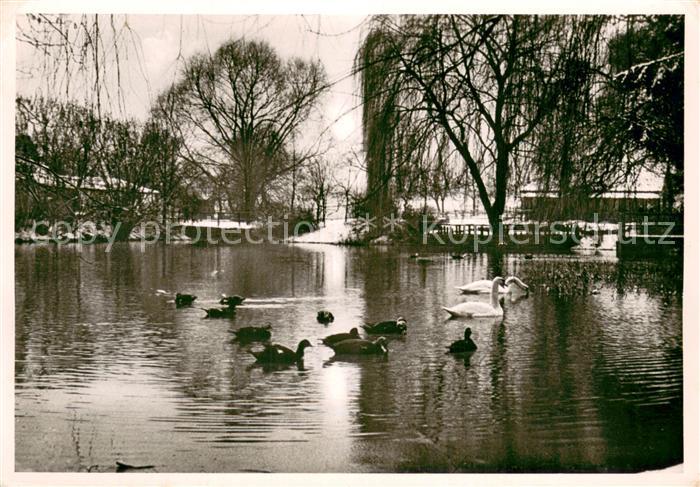 Offenbach Main Hofgut Neuhof Gutsschaenke Weiher